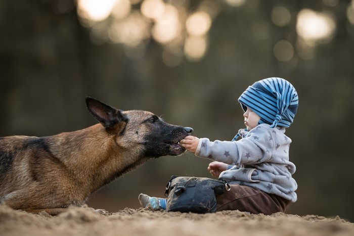 Child feeding a dog outdoors