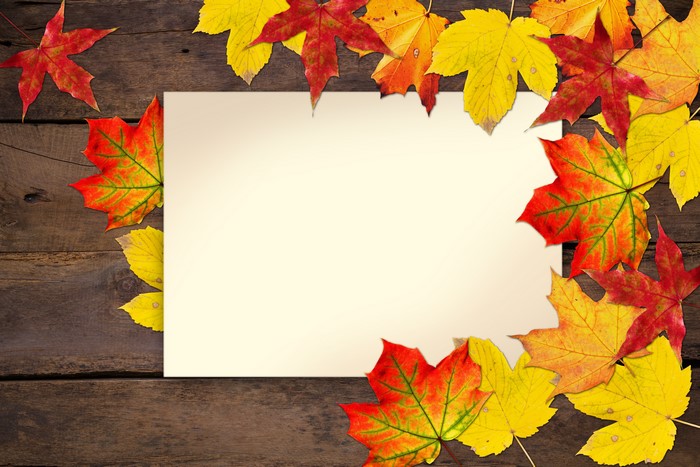 Autumn Leaves Border Template Greeting Card
