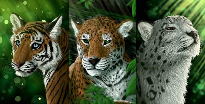 Tiger, Jaguar, and Snow Leopard in Forest
