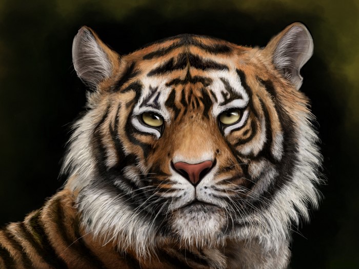 Tiger Painting Art Head
