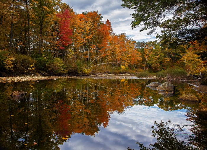 Autumn trees reflecting in a river in Bethel, Maine