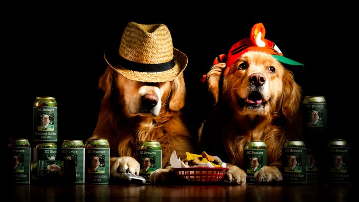Two Golden Retrievers with Hats and Beer Cans