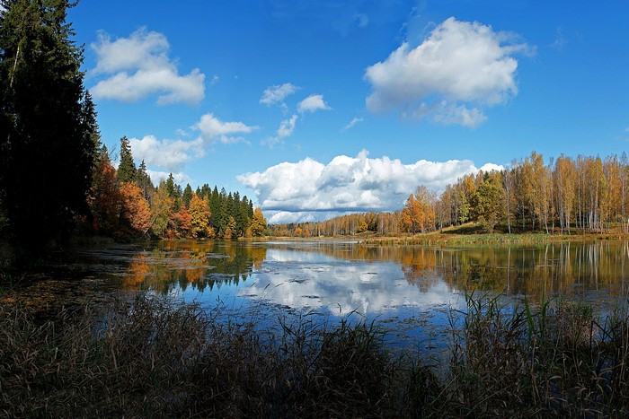 Autumn forest reflected in a lake under a cloudy sky