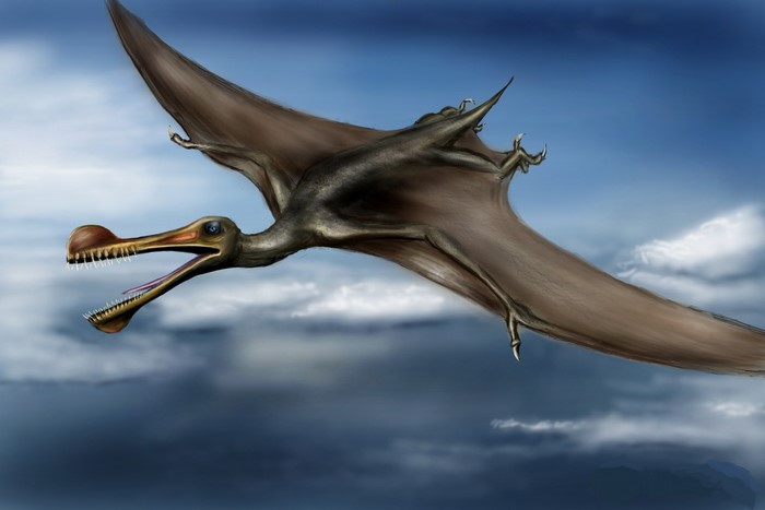 Ornithocheirus flying through a cloudy sky