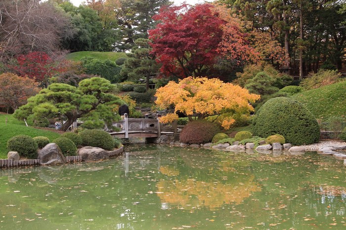 Brooklyn Botanic Garden in Autumn with Pond and Bridge