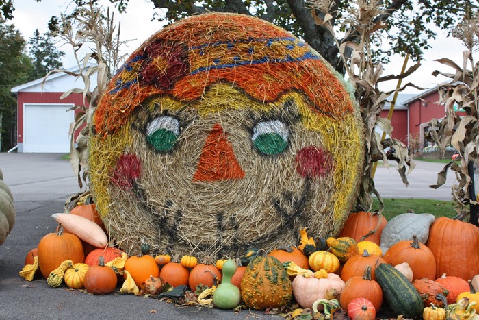 Scarecrow face made of hay bales and pumpkins