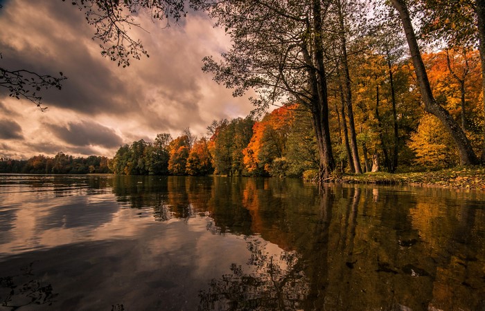 Autumn forest reflected in a lake
