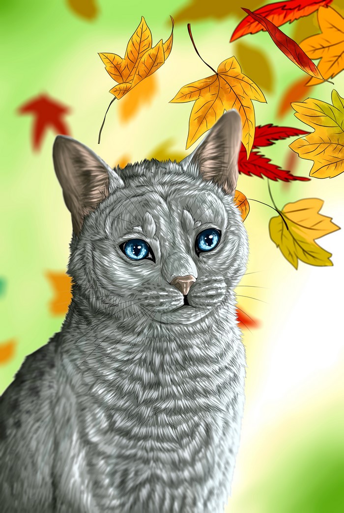 Gray cat with blue eyes and falling autumn leaves
