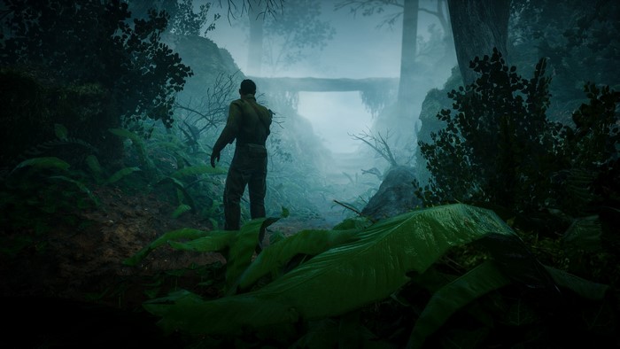 Soldier in a foggy jungle