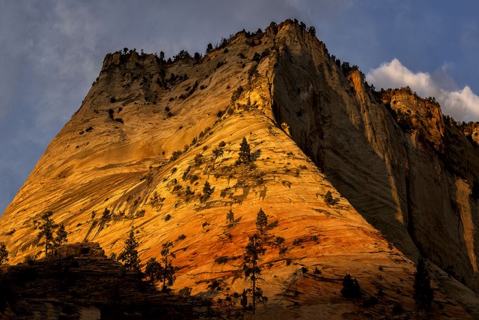 Zion National Park Mountains at Sunset