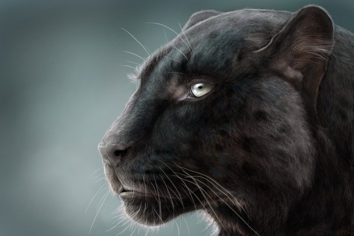 Close-up painting of a black panther's head