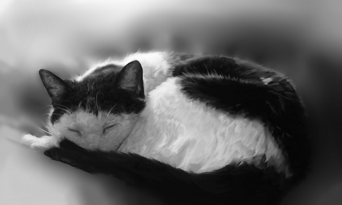 Black and white painting of a sleeping cat