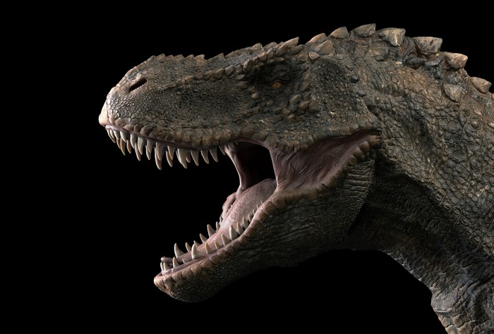 Tyrannosaurus Rex head with mouth open