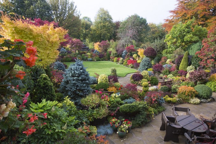 Autumn garden with colorful shrubs and trees in Walsall, England