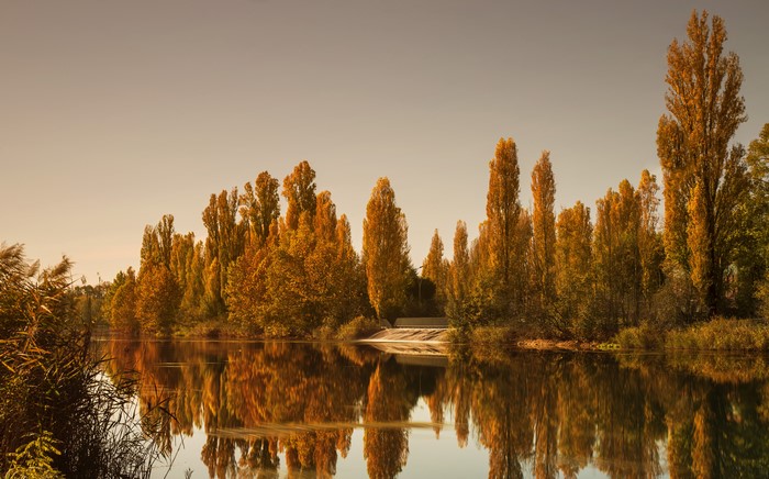 Autumn trees reflecting in a river in Salionze, Italy
