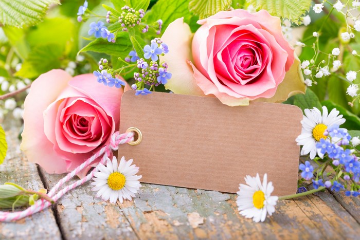 Pink Roses and Daisies with Greeting Card