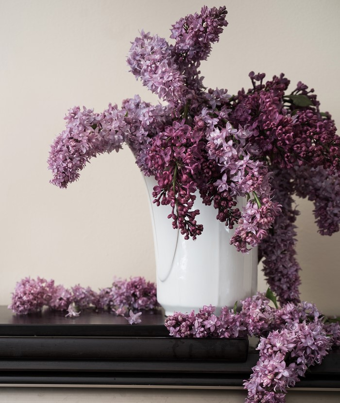Lilac branches in a white vase on books
