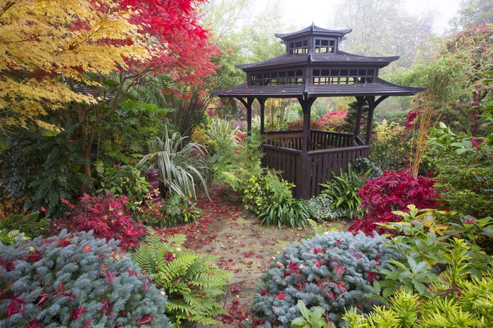 Autumn garden with a wooden gazebo in Walsall, England