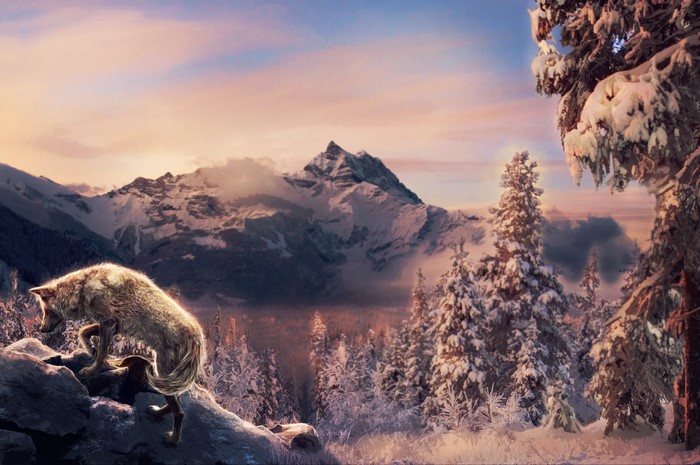 4K Wolves Painting Art Mountains