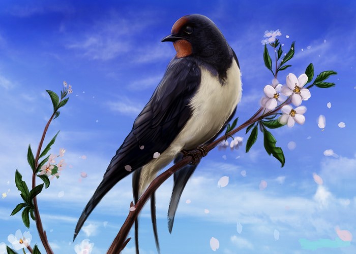 Painting of a swallow on a blooming branch