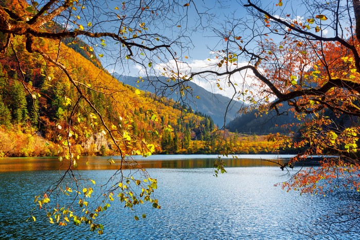 Autumn lake scenery in Jiuzhaigou Park, China