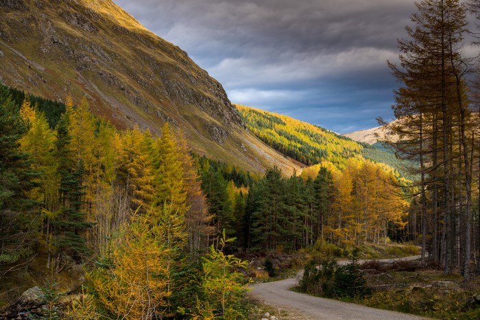 Autumn road through Cairngorms National Park, Scotland