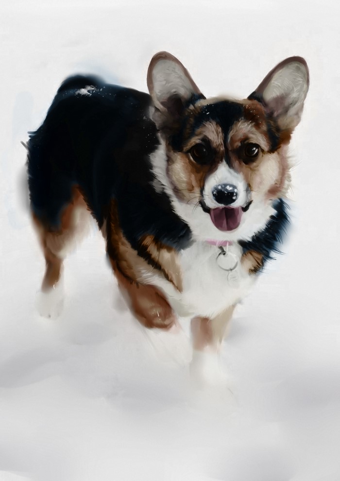 Painting of a Welsh Corgi in the snow
