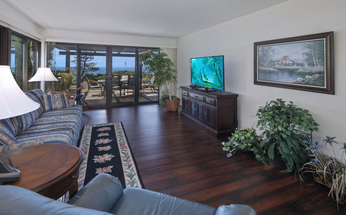 Living room with ocean view