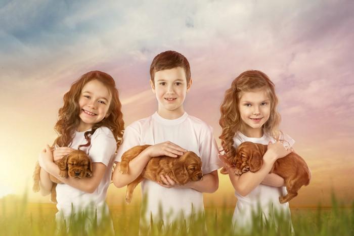 Three Children Holding Puppies