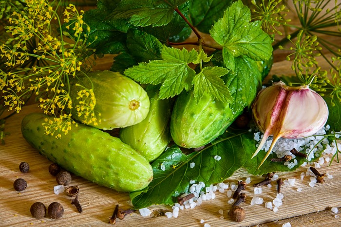 Cucumbers, Garlic, Dill, and Spices for Pickling
