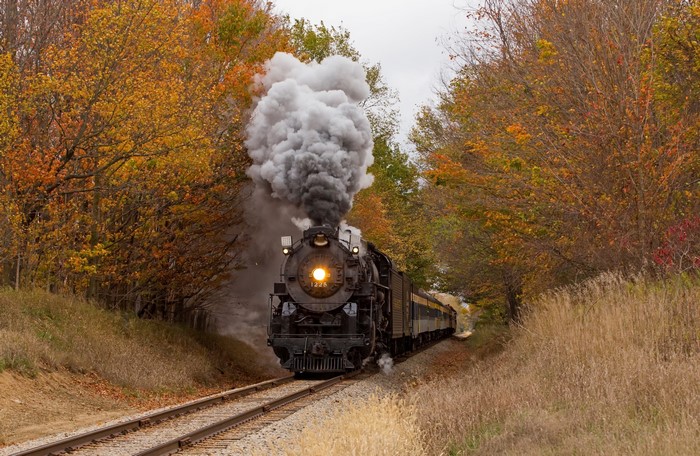 Steam Train Traveling Through Autumn Trees