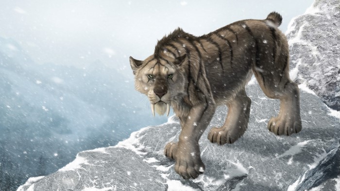 Sabertooth tiger walking on a snowy mountain