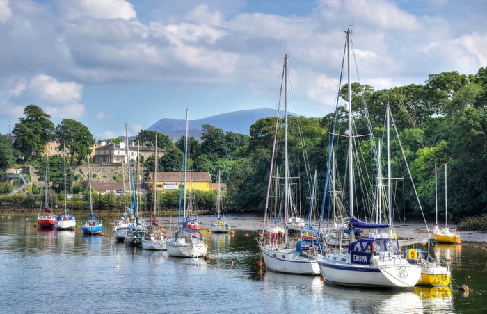 Sailboats docked in a harbor with houses and mountains in the background