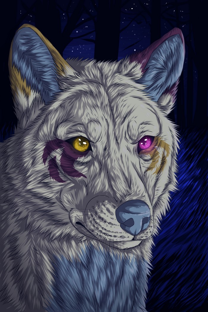 Painting Art of a Wolf