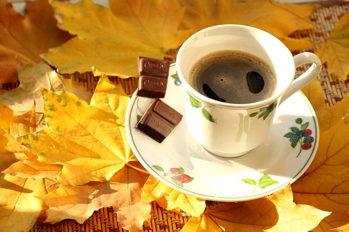 Coffee cup with chocolate on autumn leaves