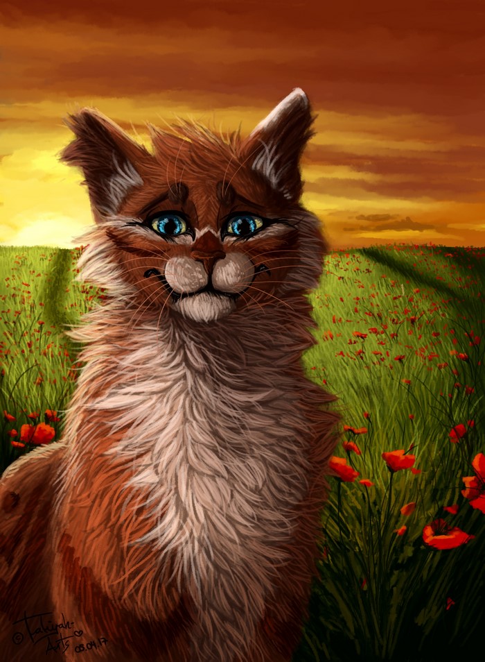 Painting of a cat in a poppy field at sunset