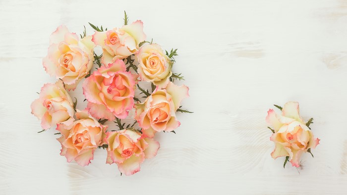 Peach and Pink Roses on White Wood