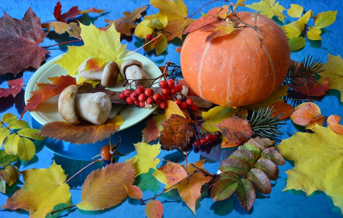 Autumn still life with pumpkin, mushrooms, and berries