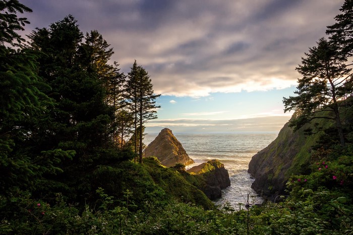 4K Coastline with Trees and Rock Formation in Oregon