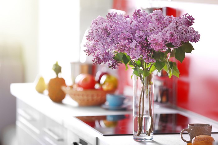 Lilac in a vase on a kitchen counter