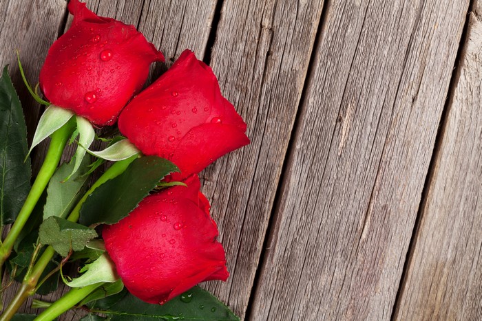 Three red roses with water droplets on wood planks