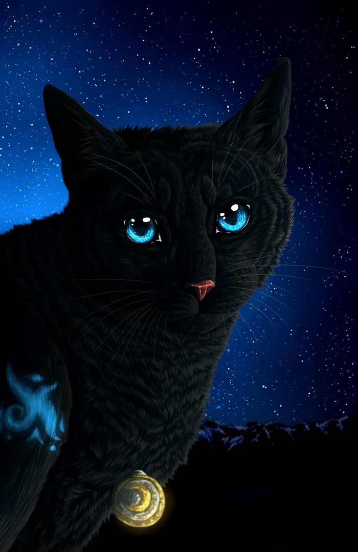 Black cat with blue eyes under starry night sky