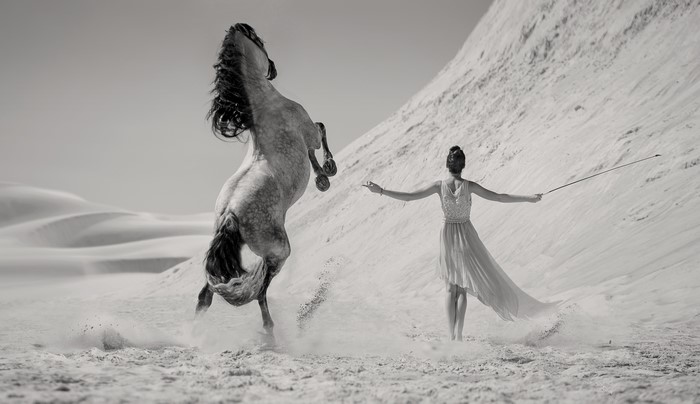 Black and white image of a horse rearing up in a desert