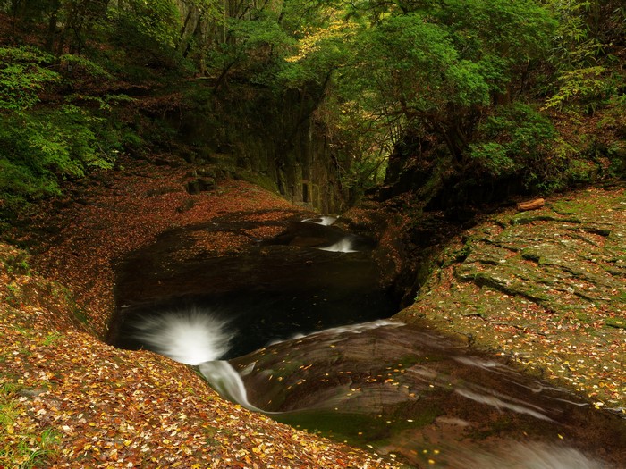 Autumn Waterfalls in a Forest with Foliage