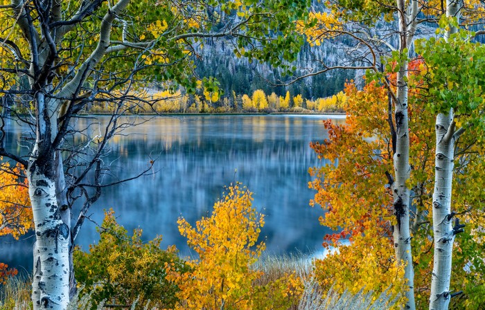 Autumn at June Lake, California, USA