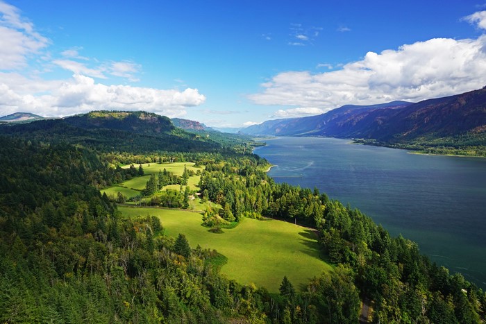 Columbia River Gorge with Forests and Grasslands