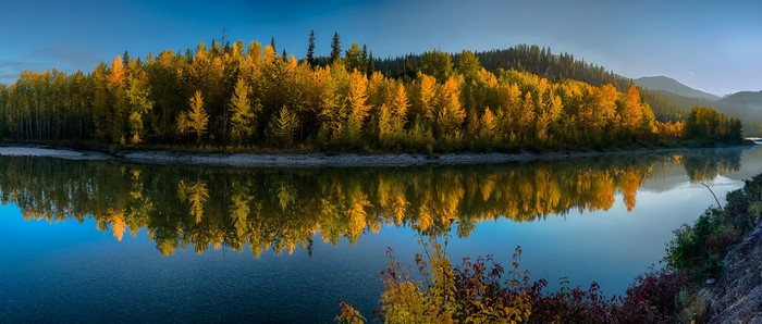Autumn forest reflecting in a river in Glacier National Park