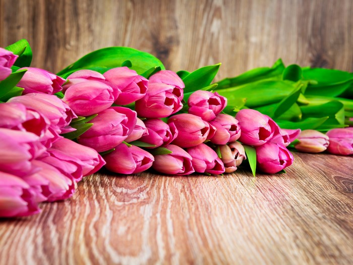 Pink Tulips on Wooden Background