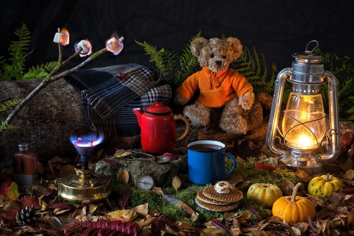 Teddy bear with camping setup and pumpkins