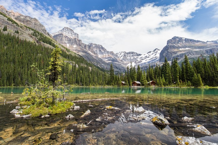 4K Lake O'Hara with Mountains and Forest in Yoho National Park